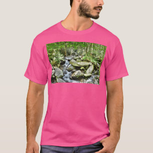 Camiseta Roswell Nuevo México Ovni Alien