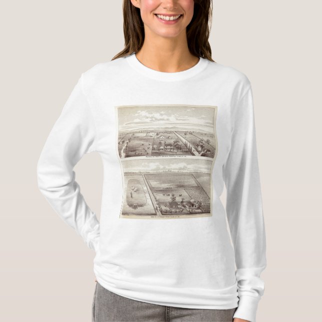 Camiseta Roth, ranchos de Scruggs (Anverso)