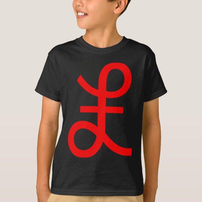 Camiseta Rótulo libra (Anverso)