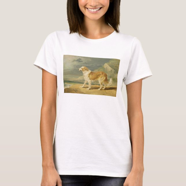 Camiseta Rough-coated Collie, 1809 (oil on board) (Anverso)
