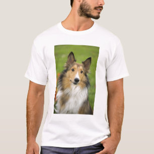 Camiseta Rough Collie, perro