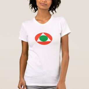Camiseta Roundel de la Fuerza Aérea Libanesa
