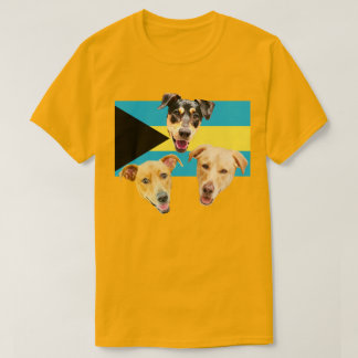 Camiseta Royal Bahamian Potcakes 2