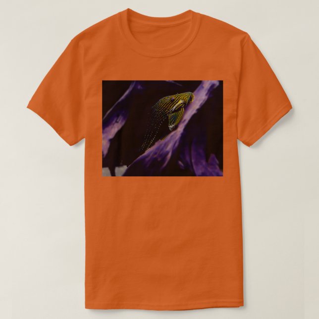 Camiseta Royal Pleco (Diseño del anverso)