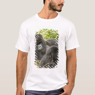 Camiseta Ruanda, Parque Nacional de los Volcanes