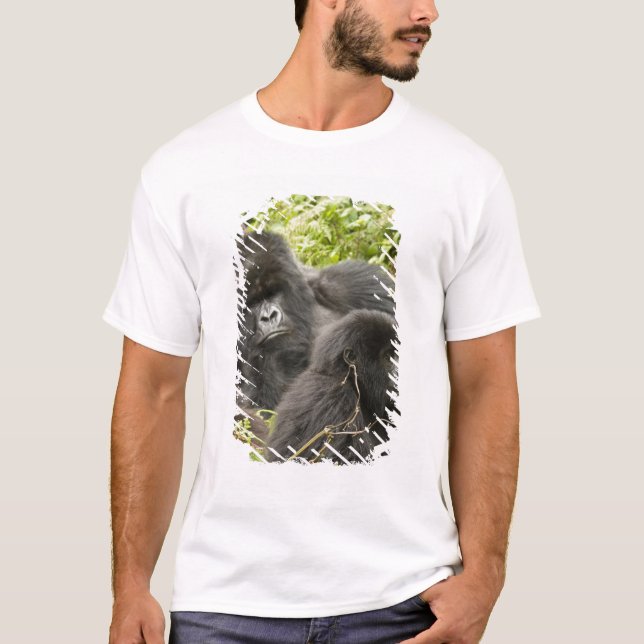 Camiseta Ruanda, Parque Nacional de los Volcanes (Anverso)