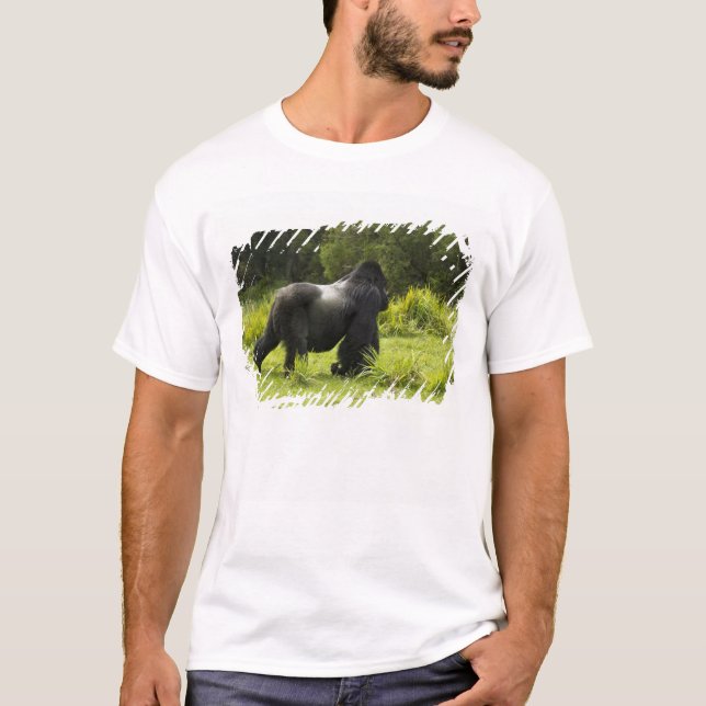 Camiseta Ruanda, Parque Nacional de los Volcanes (Anverso)