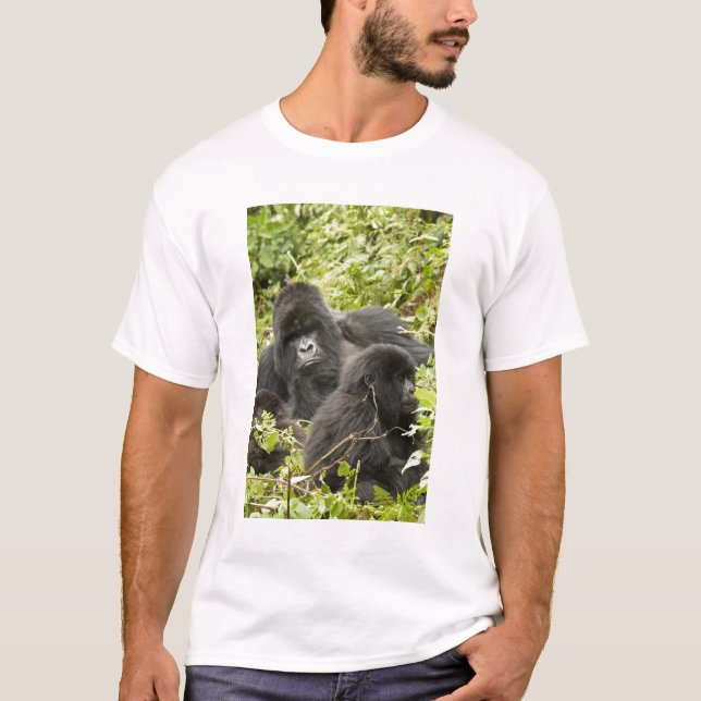 Camiseta Ruanda, Parque Nacional Volcanes (Anverso)