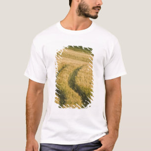 Camiseta Ruedas de tractores a través del trigo, Toscana, I