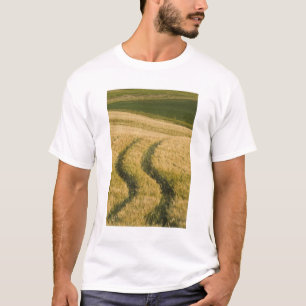 Camiseta Ruedas de tractores a través del trigo, Toscana, I