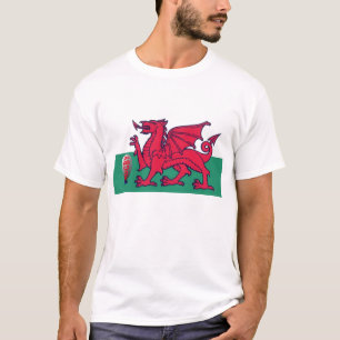 Camiseta rugbi galés