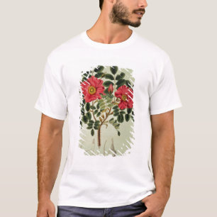 Camiseta Rugosa de Rosa, de la 'flora Japonica