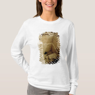 Camiseta Ruina del palacio