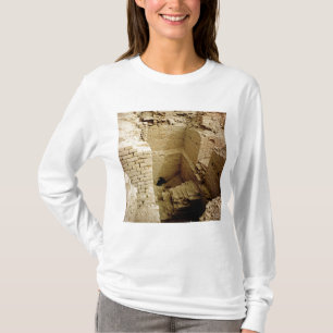 Camiseta Ruina del palacio