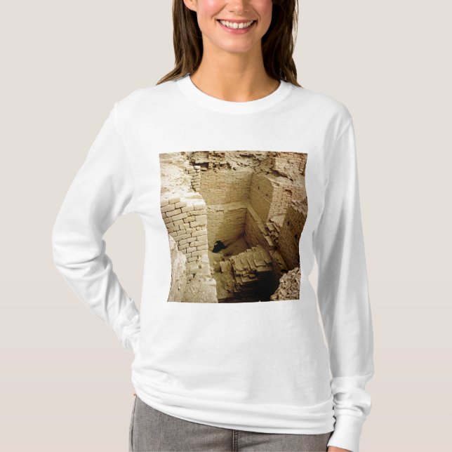 Camiseta Ruina del palacio (Anverso)