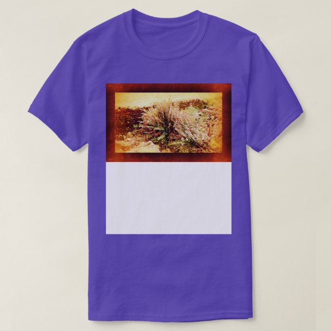 Camiseta ruinas de una fundación de ladrillo Ft Stevens 2 (Diseño del anverso)