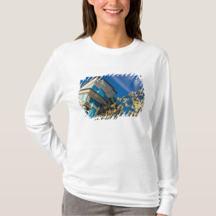 Camiseta Rusia, Pushkin. Detalle de la puerta y torre de so