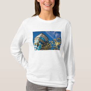 Camiseta Rusia, Pushkin. Detalle de la puerta y torre de so