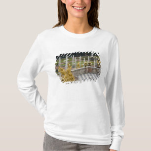 Camiseta Rusia, San Petersburgo, Peterhoff (también conocid