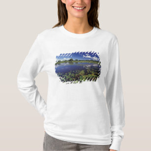 Camiseta S.A., Brasil, Vías navegables en Pantanal