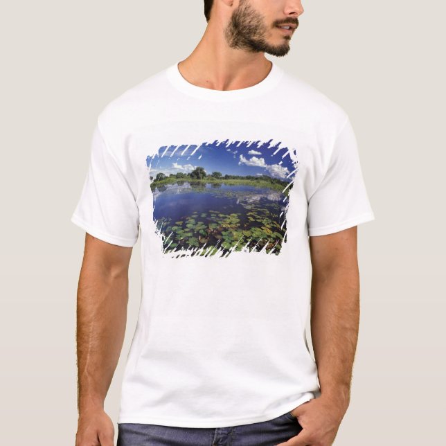 Camiseta S.A., Brasil, vías navegables en Pantanal (Anverso)