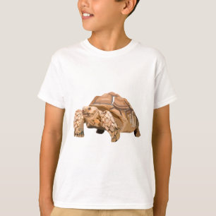 Camiseta S es para Sulcata Tortoise