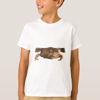 S es para Surinam Toad
