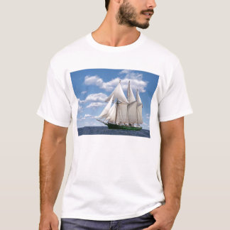 Camiseta S/V Denis Sullivan