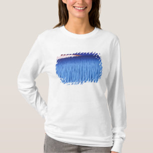 Camiseta SA, Chile, Región de Coquimbo, Nieve Penitente;