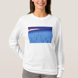 Camiseta SA, Chile, Región de Coquimbo, Nieve Penitente;