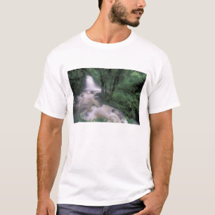 Camiseta SA, Perú, S.H. Machu Picchu, Cascada y nube