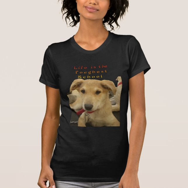 Camiseta Sabiduría Dorada: Una mirada de perro a la escuela (Anverso)