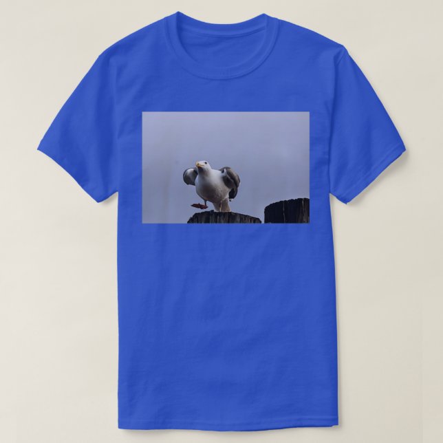 Camiseta Sacar (Diseño del anverso)