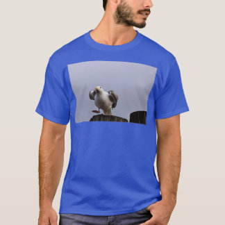 Camiseta Sacar