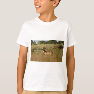 Camiseta Safari Adventure Buddy-Animal Friend Tee para niño