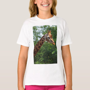 Camiseta Safari Africa Mod Moda Destiny Giraffe