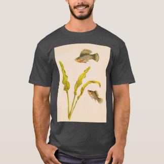 Camiseta Sailfin Poecilia latipinna