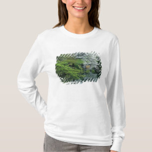 Camiseta Sakura, Jardín Koishikawa Koraku-en, Tokio,
