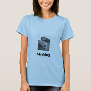 Camiseta salada del perro