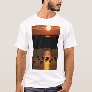 Camiseta Salida del sol en la reserva del nacional del