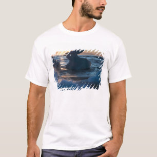 Camiseta Salida del sol y formaciones de iceberg