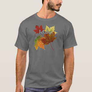 CAMISETA SALIDAS DE AUTUM EN IDAHO
