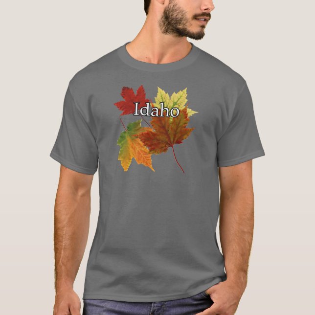 CAMISETA SALIDAS DE AUTUM EN IDAHO (Anverso)