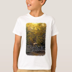 Camiseta Salmo 16:11
