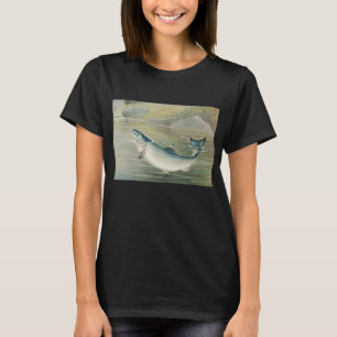 Camiseta Salmón de California por S.A. Kilbourne, pescado v