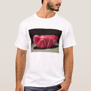 Camiseta Saltamontes de Chapultepec, México, c.1500 (mojó