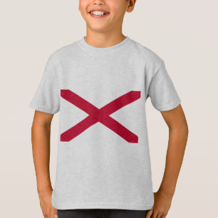 Camiseta Saltire de St Patrick, bandera de Irlanda