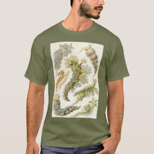 Camiseta Saltos marinos por Ernst Haeckel, Nudibranchia vin