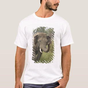 Camiseta Saludo de elefante asiático indio