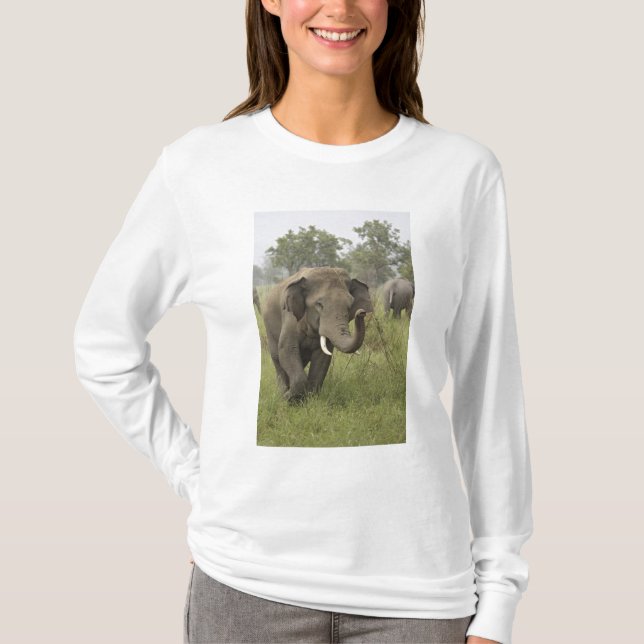 Camiseta Saludo de elefante indio asiático (Anverso)